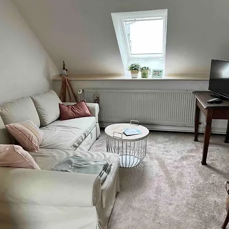 Ganzes Haus Fur Dich Mitten In Apartment Mainz