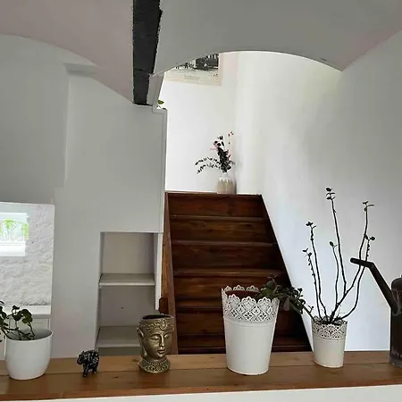 Apartment Ganzes Haus Fur Dich Mitten In